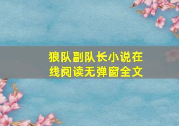 狼队副队长小说在线阅读无弹窗全文