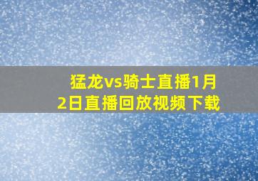 猛龙vs骑士直播1月2日直播回放视频下载