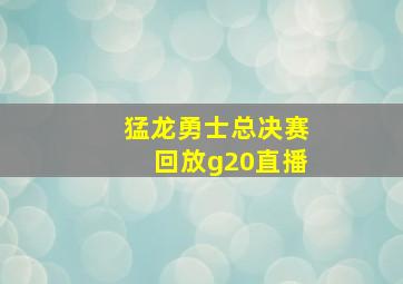 猛龙勇士总决赛回放g20直播