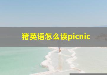 猪英语怎么读picnic