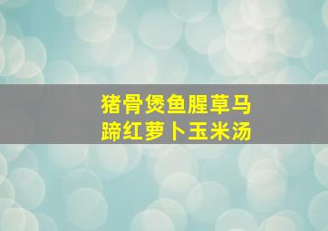 猪骨煲鱼腥草马蹄红萝卜玉米汤