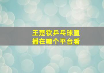 王楚钦乒乓球直播在哪个平台看