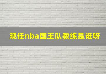 现任nba国王队教练是谁呀