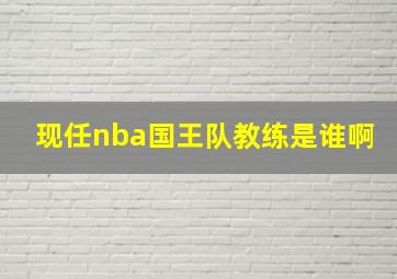 现任nba国王队教练是谁啊