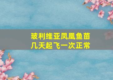 玻利维亚凤凰鱼苗几天起飞一次正常