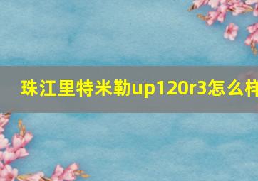 珠江里特米勒up120r3怎么样