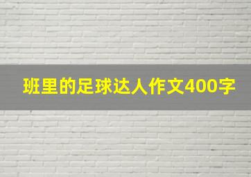 班里的足球达人作文400字