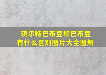 琪尔特巴布豆和巴布豆有什么区别图片大全图解