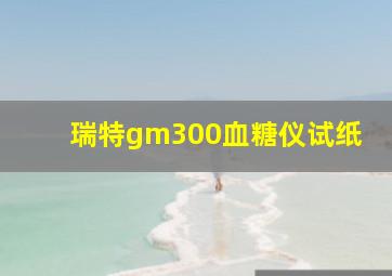 瑞特gm300血糖仪试纸