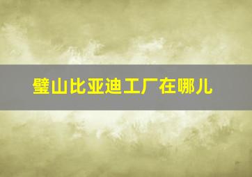 璧山比亚迪工厂在哪儿