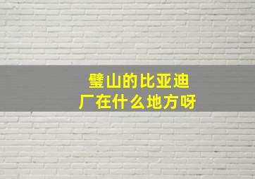 璧山的比亚迪厂在什么地方呀