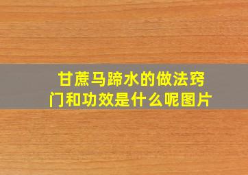 甘蔗马蹄水的做法窍门和功效是什么呢图片