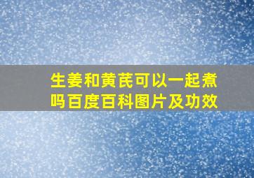 生姜和黄芪可以一起煮吗百度百科图片及功效