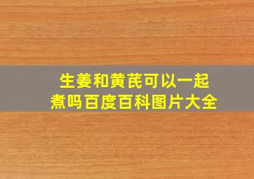 生姜和黄芪可以一起煮吗百度百科图片大全