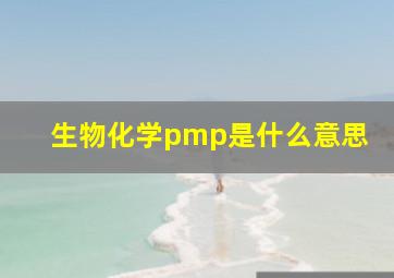 生物化学pmp是什么意思