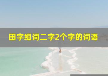 田字组词二字2个字的词语