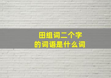 田组词二个字的词语是什么词