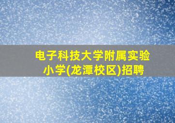 电子科技大学附属实验小学(龙潭校区)招聘