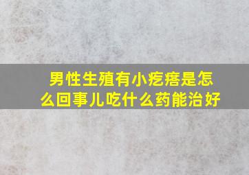 男性生殖有小疙瘩是怎么回事儿吃什么药能治好