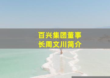 百兴集团董事长周文川简介