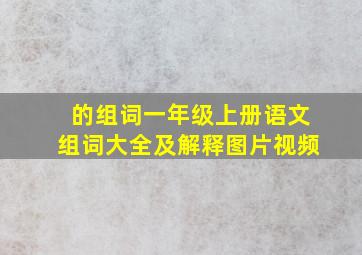 的组词一年级上册语文组词大全及解释图片视频