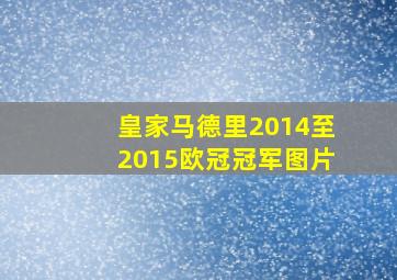 皇家马德里2014至2015欧冠冠军图片