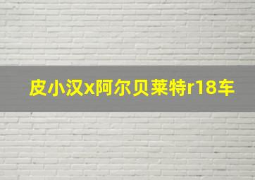 皮小汉x阿尔贝莱特r18车