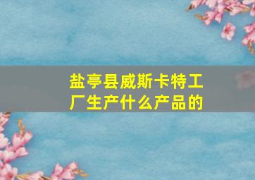 盐亭县威斯卡特工厂生产什么产品的