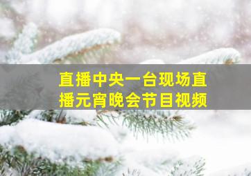 直播中央一台现场直播元宵晚会节目视频