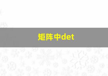 矩阵中det