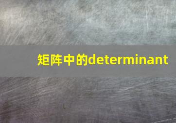 矩阵中的determinant