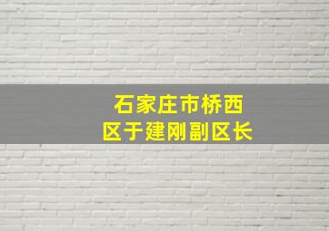 石家庄市桥西区于建刚副区长