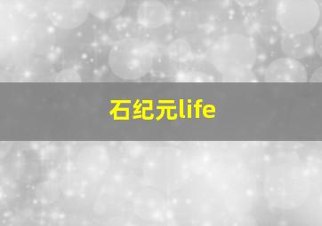 石纪元life