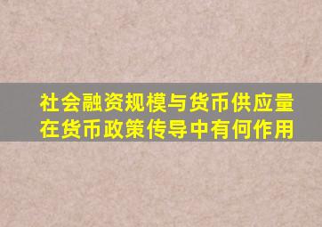 社会融资规模与货币供应量在货币政策传导中有何作用