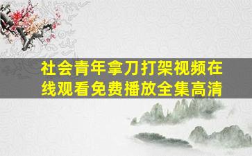 社会青年拿刀打架视频在线观看免费播放全集高清