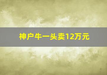 神户牛一头卖12万元