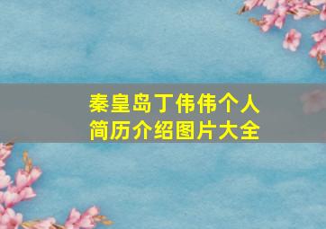 秦皇岛丁伟伟个人简历介绍图片大全