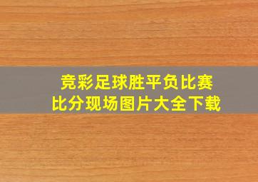 竞彩足球胜平负比赛比分现场图片大全下载