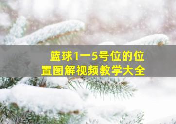 篮球1一5号位的位置图解视频教学大全