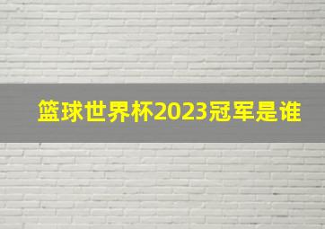 篮球世界杯2023冠军是谁