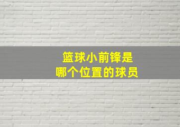 篮球小前锋是哪个位置的球员