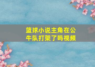 篮球小说主角在公牛队打架了吗视频