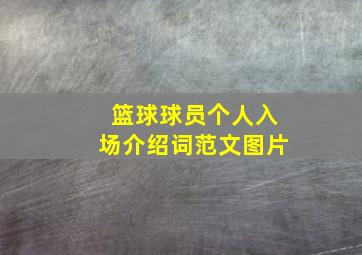 篮球球员个人入场介绍词范文图片