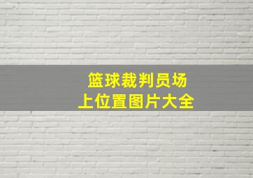 篮球裁判员场上位置图片大全