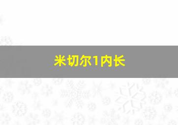 米切尔1内长