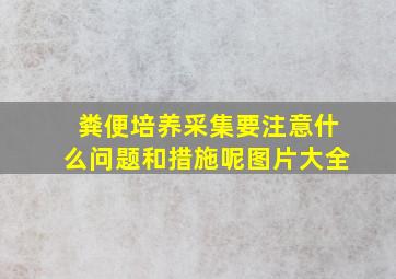 粪便培养采集要注意什么问题和措施呢图片大全