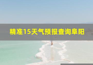 精准15天气预报查询阜阳