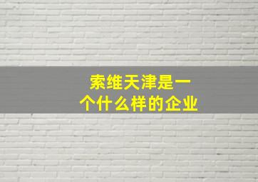 索维天津是一个什么样的企业