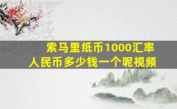 索马里纸币1000汇率人民币多少钱一个呢视频