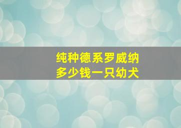 纯种德系罗威纳多少钱一只幼犬